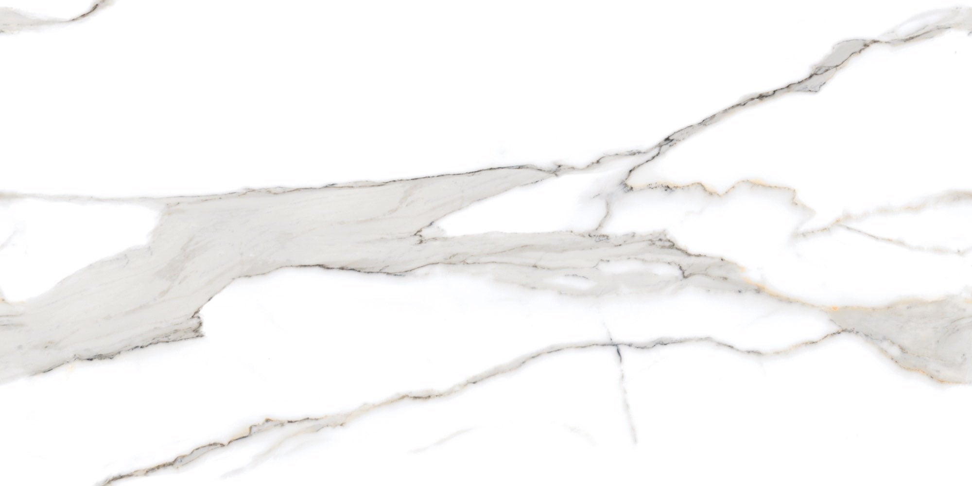 Endless Love Calacatta Gold 60x120cm