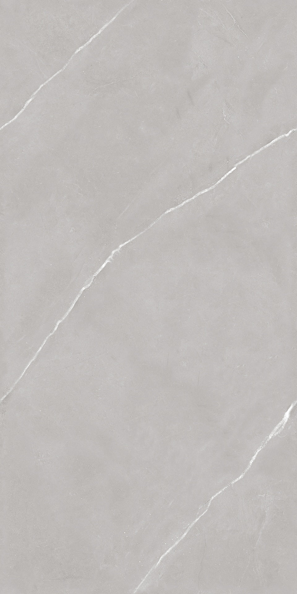 Infinity Armani Fossil Light Matt 60x120cm - FloorAVita