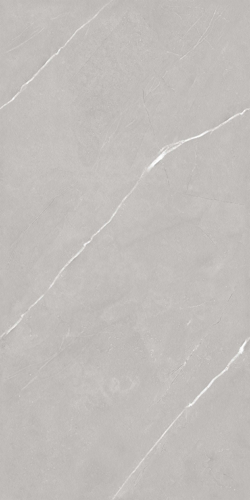 Infinity Armani Fossil Light Matt 60x120cm - FloorAVita