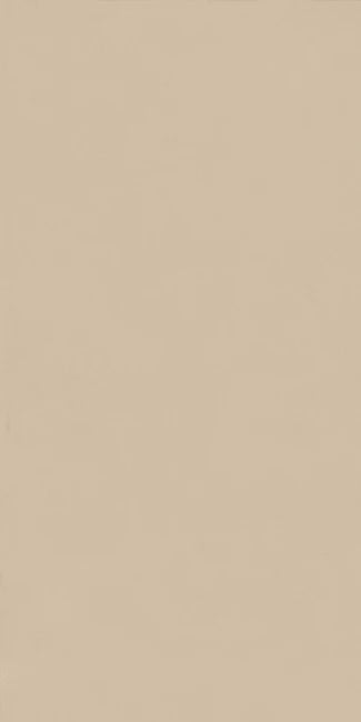 Intonaco Beige Matt 60x120cm