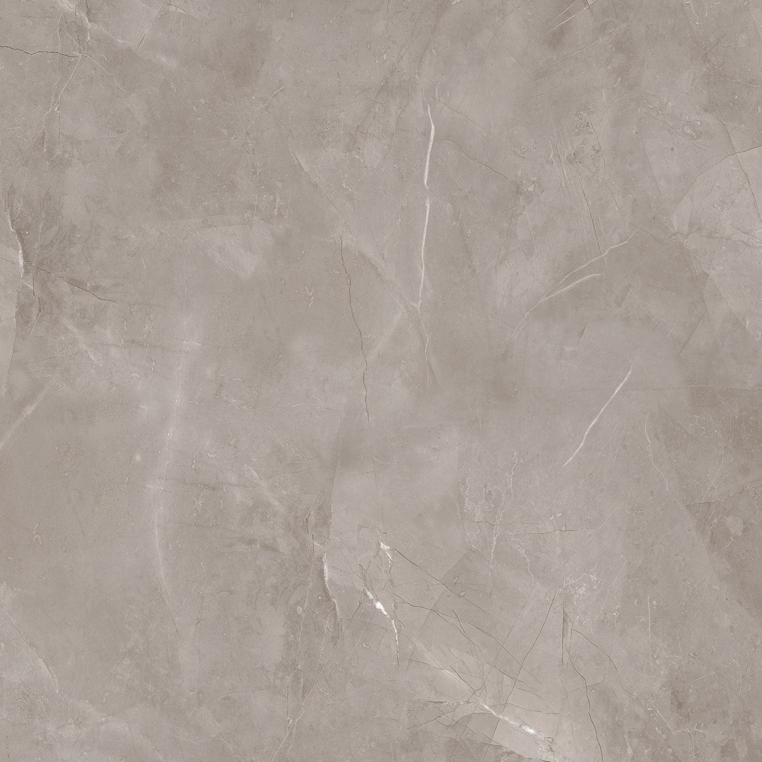 Harmonic Grey 59,8x59,8cm Hochglanz